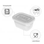 ROTHO Freeze - freezer container - 6x250ml