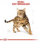 Royal Canin Bengal Adult cats dry food 2 kg Poultry, Vegetable