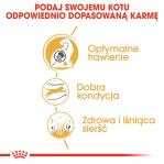 Royal Canin Bengal Adult cats dry food 2 kg Poultry, Vegetable