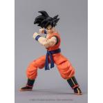DRAGON BALL SUPER EVOLVE - SON GOKU