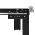 Xeno 2.1 Electric Bas