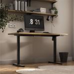 Xeno 2.1 Electric Bas