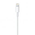 Apple Lightning to USB Cable (0.5 m)