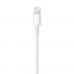 Apple Lightning to USB Cable (1В m)