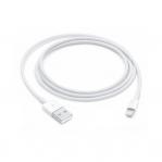 Apple Lightning to USB Cable (1В m)