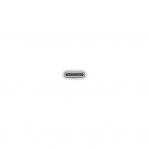 Apple USB-C Woven Charge Cable (1m)