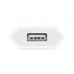Apple MGN13ZM/A power adapter/inverter Indoor 5 W White