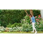 Bosch EasyGrassCut 18V-26 26 cm Battery Black, Green