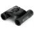 Celestron UpClose G2 8x21 binocular BK-7