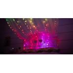 TWINKLY Strings 250 (TWS250STP-BEU) Smart Christmas tree lights 250 LED RGB 20 m