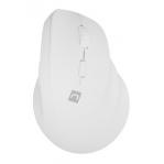 NATEC Crake 2 mouse Universal Right-hand RF Wireless + Bluetooth Optical 2400 DPI