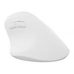 NATEC Crake 2 mouse Universal Right-hand RF Wireless + Bluetooth Optical 2400 DPI