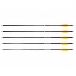 Poe Lang 28’ fibreglass arrows - set of 5 (D-055-B3)