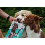 GELOREN Large dog Joints - dog vitamins - 420g