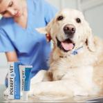 JM SANTE Polisept Vet Wound gel - gel dressing for dogs and cats – 30 ml