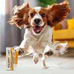 JM SANTE Polisept Vet Recovery - energy supplement for dogs and cats – 12 ml