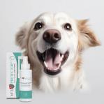 JM SANTE Vet Protector Fresh - dental solution for oral hygiene for dogs and cats – 100 ml