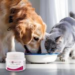 JM SANTE Vet Protector Gastro - Biotyk - multibiotic for dogs and cats – 60 g