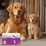 JM SANTE Multiway Vet Duocaps Osteo - twist-off capsules for joints for dogs and cats – 60 pcs