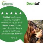 VETOQUINOL Drontal - anti-parasite tablets for cats - 2 pcs.