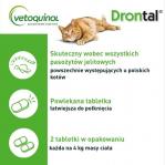 VETOQUINOL Drontal - anti-parasite tablets for cats - 2 pcs.