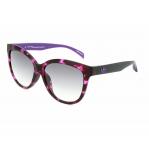SUNGLASSES ADIDAS MAN AOR005-144009 (Lens/Bridge/Temple) 54/21/140 mm)