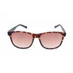 SUNGLASSES ADIDAS MAN AOR031-092009 (Lens/Bridge/Temple) 54/16/145 mm)