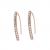EARRINGS ADORE WOMAN 5489506 (2CM )