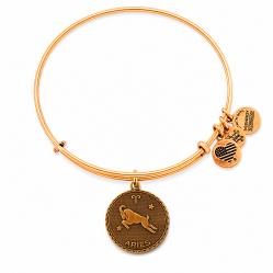 BRACELET ALEX AND ANI WOMEN A07EB40ARRG (19-25CM )