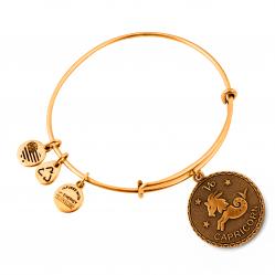 BRACELET ALEX AND ANI WOMEN A07EB40CARG (19-25CM )