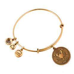 BRACELET ALEX AND ANI WOMEN A07EB40CNRG (19-25CM )