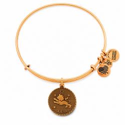 BRACELET ALEX AND ANI WOMEN A07EB40LERG (19-25CM )