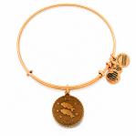 BRACELET ALEX AND ANI WOMEN A07EB40PIRG (19-25CM )