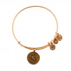 BRACELET ALEX AND ANI WOMEN A07EB40SCRG (19-25CM )