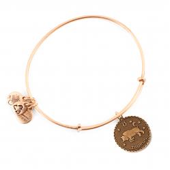 BRACELET ALEX AND ANI WOMEN A07EB40TARG (19-25CM )