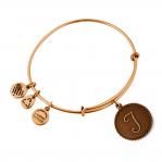 BRACELET ALEX AND ANI WOMEN A08EB91TG (19-25CM )