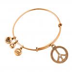 BRACELET ALEX AND ANI WOMEN A09EB139RG (19-25CM )
