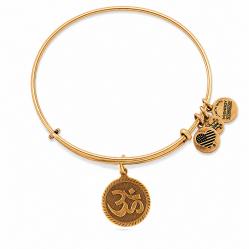BRACELET ALEX AND ANI WOMEN A09EB210RG (19-25CM )