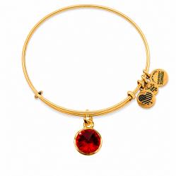 BRACELET ALEX AND ANI WOMEN A12EB240RG (19-25CM )