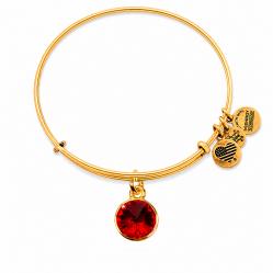 BRACELET ALEX AND ANI WOMEN A12EB246RG (19-25CM )