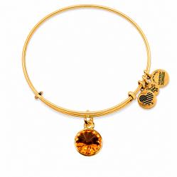BRACELET ALEX AND ANI WOMEN A12EB250RG (19-25CM )