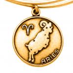 BRACELET ALEX AND ANI WOMEN A13EB01ARRG (19-25CM )
