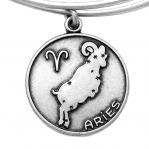 BRACELET ALEX AND ANI WOMEN A13EB01ARRS (19-25CM )