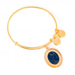 BRACELET ALEX AND ANI WOMEN A15EB61YG (20CM )