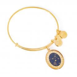BRACELET ALEX AND ANI WOMEN A15EB64YG (20CM )