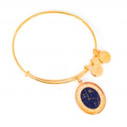 BRACELET ALEX AND ANI WOMEN A15EB67YG (20CM )