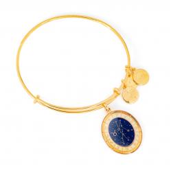 BRACELET ALEX AND ANI WOMEN A15EB68YG (20CM )