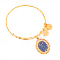 BRACELET ALEX AND ANI WOMEN A15EN38YG (20CM )