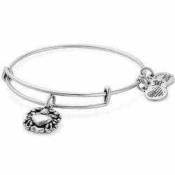 BRACELET ALEX AND ANI WOMEN A17EBCRRS (20CM )