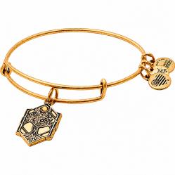BRACELET ALEX AND ANI WOMEN A17EBTOLRG (20CM )